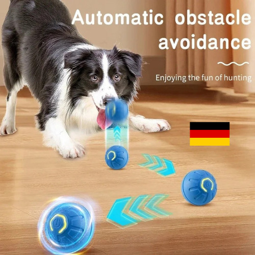 Interaktiver hundespielzeug - interaktiver,