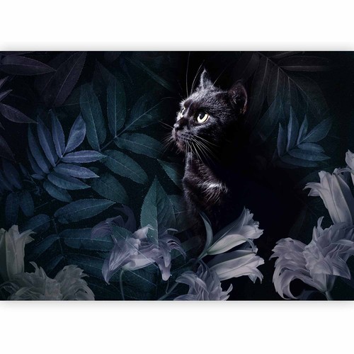 Katze blätter vlies - katze,