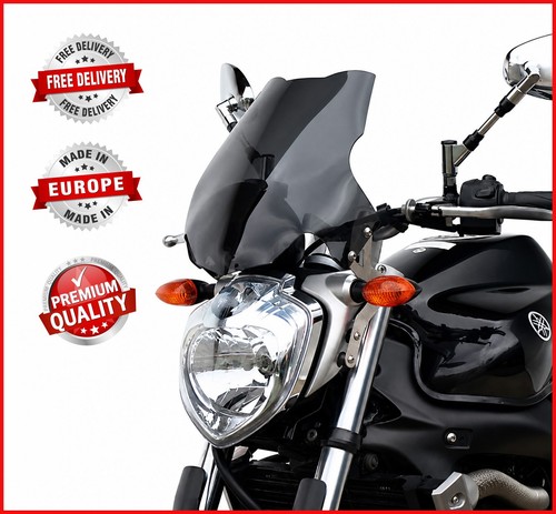 Yamaha fz6 07 - s2, 07-10