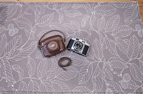 Zeiss ikon contina - ikon,