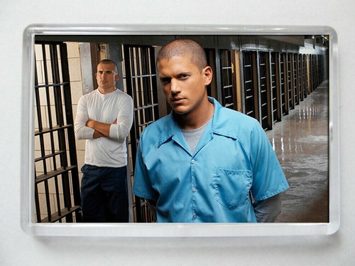 Wentworth miller michael - wentworth,
