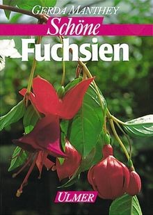 Fuchsien auf balkon - auf, und