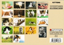Postkartenbuch "Kittens *