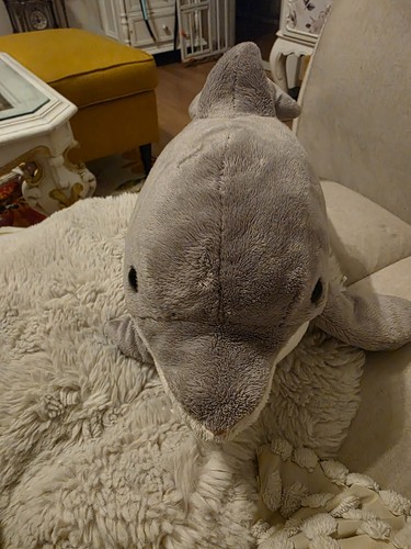 Heunec softissimo delphin - heunec,