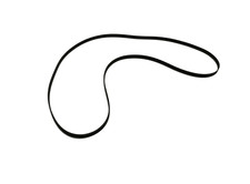 Riemen für RFT Ziphona Bruns