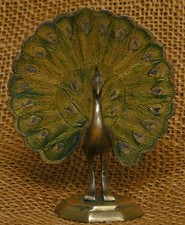 kleiner  PFAU VOGEL aus