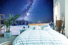 3D Schnee Wald ZHUC13888