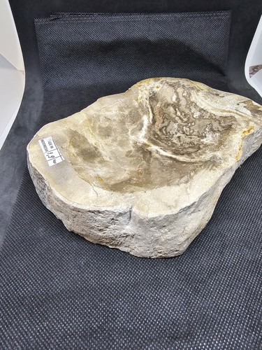 Versteinertes