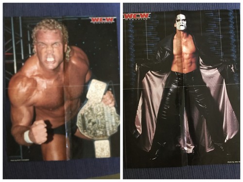 Sid vicious sting wcw - sid, wcw-wwe