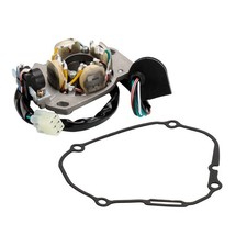 Lichtmaschine Stator