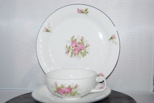 Teeservice 6 Pers. 20tlg. romantische Moosrose rosa Rose Form unbekannt  Arzberg