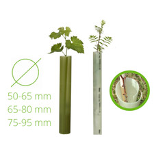 TUBEX Wuchshülle Obstbau