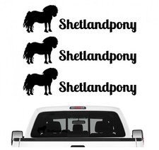 Shetlandpony Mini-Pferd