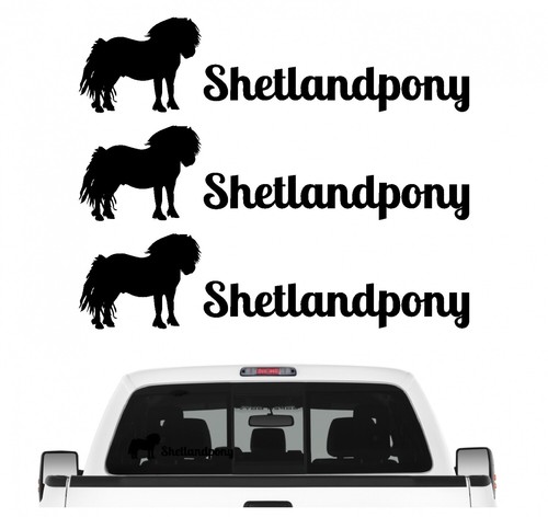 Shetlandpony mini pferd - shetlandpony, mini-pferd