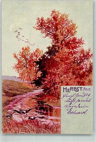 39827430 herbst flugenten - 39827430,