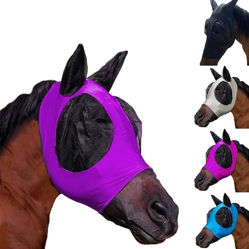 Pferd anti - pferd,