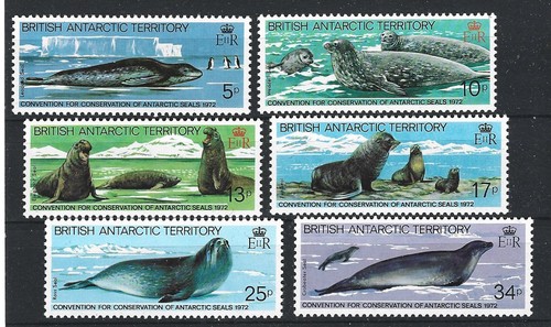 Meerestiere fische - ,