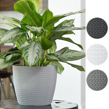 Übertopf Blumentopf