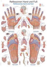 Lehrtafel Reflexzonen Hand und