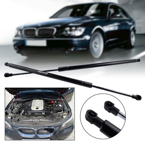 Paar gasfeder motorhaube - 1,