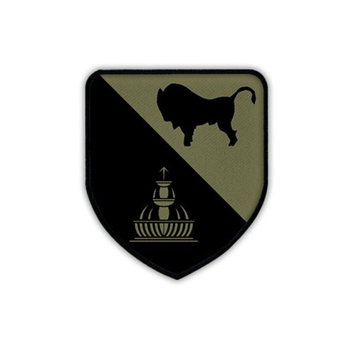 Patch pzbtl 363 tarn - tarn, wappen