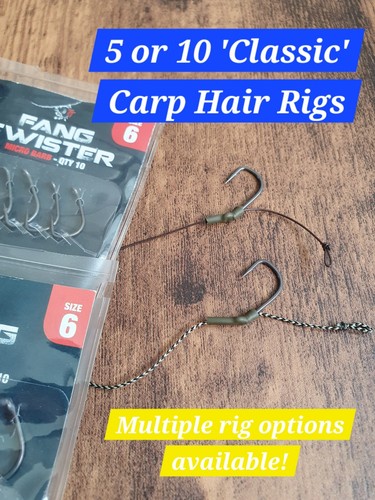 Oder classic carp fishing - oder, 10