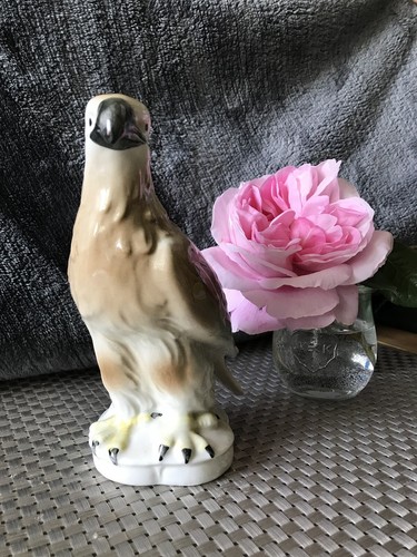 Wunderschöner alter adler - wunderschöner,