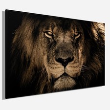 Wandbild LÖWENKOPF ca. 78x118