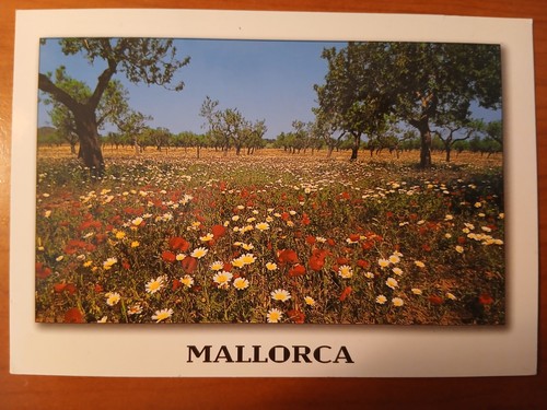 Postkarte 3229 gelaufen