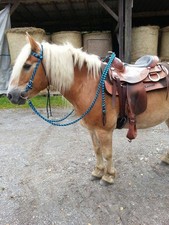 Flechttrense / Flechtzügel