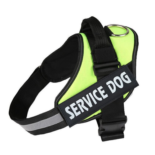 Personalisierte hundegeschirr - personalisierte,