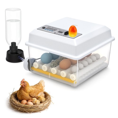 Brutmaschine inkubator - brutmaschine,