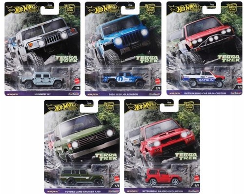 Hot wheels premium - hot, culture