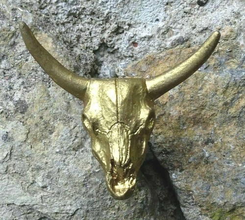 Möbelgriff stier schädel - möbelgriff,