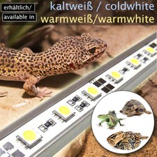 LED-BELEUCHTUNG KALTWEISS TAGESLICHTSIMULATOR TERRARIUM SKORPION SPINNE TB4