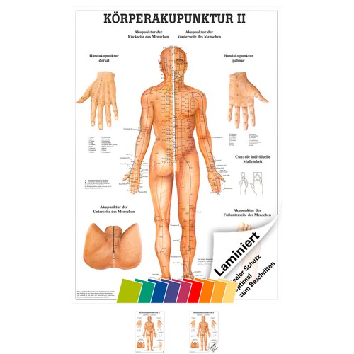 Körperakupunktur - , ii