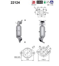 AS Katalysator passend für