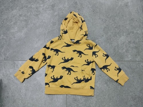 Pullover mit dinosaurier von - dinosaurier,