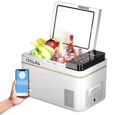 Kompressor Kühlbox 28L Mini Kühlschrank Auto LKW Camping -20℃~20℃ APP 12V/230V