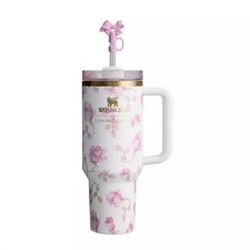 Tumbler Cup with Straw Lid Insulated Stainless Steel Water Bottle Tumble