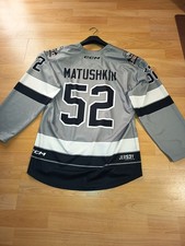 Eishockey Löwen Frankfurt