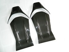 Carbon Sitzverkleidungen Sitz