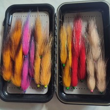 Streamer raubfisch opossum - raubfisch,