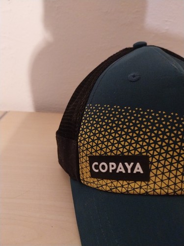 Cappi