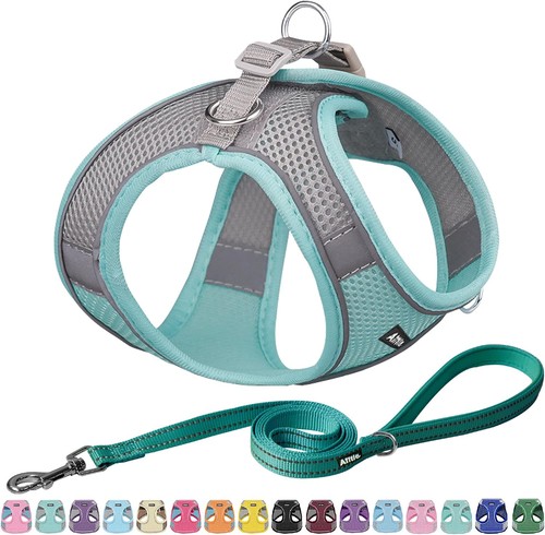 Hundegeschirr und leinen set - hundegeschirr,