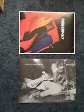 Zwei POSTERs / Mudhoney -