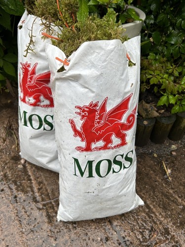Moos für weihnachtskränze - für,