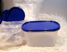 NEU Tupperware A64 Eidgenosse