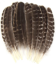 15Pcs Natural Turkey Feather