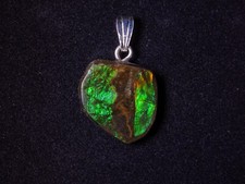 Ammolith Anhänger (Kanada)